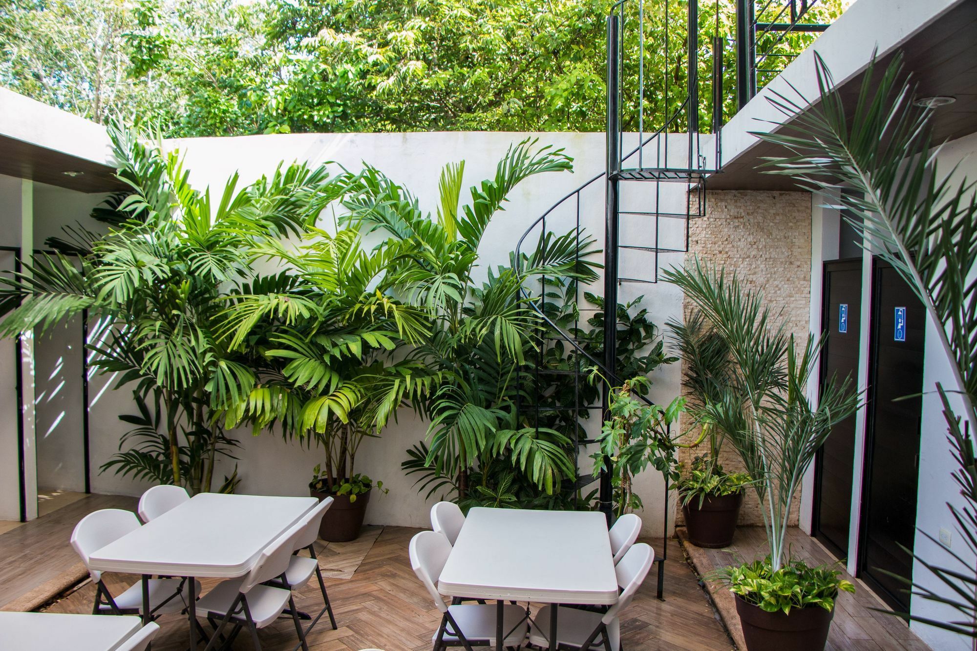 Hostal Gayser فالادوليد المظهر الخارجي الصورة